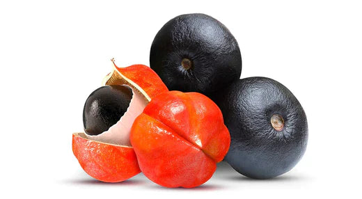 Everything you need to know about Guarana